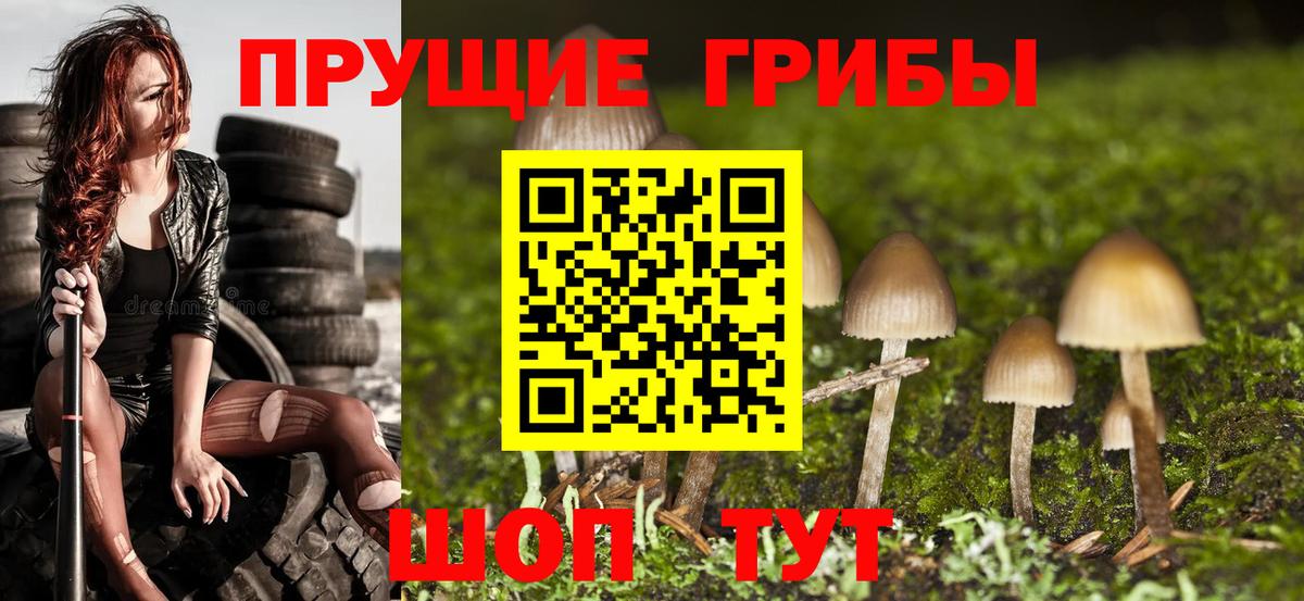 Камышлов  Галлюциногенные грибы ЛСД  Вход с VPN  Галлюциногенные грибы Cubensis 